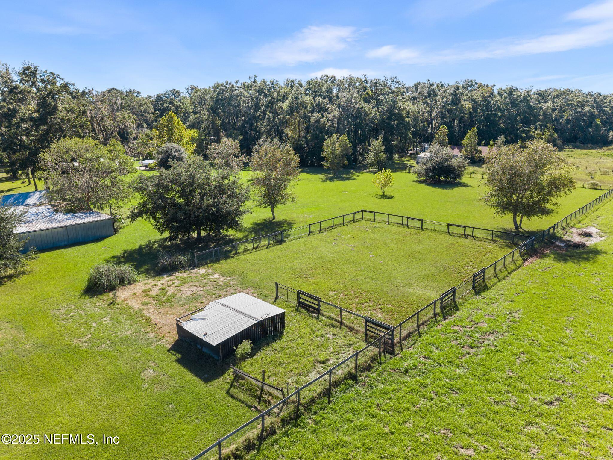 27061 29th Road Branford, FL 32008 - Photo 4 of 49 pasture area