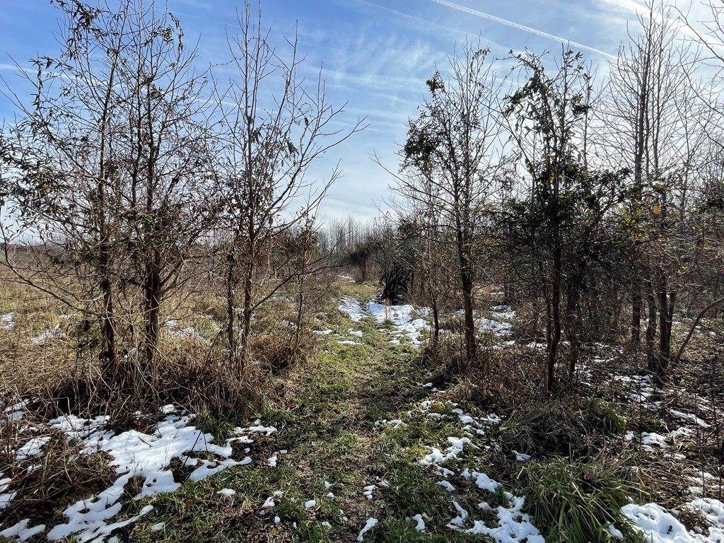 3.65 Old Neck Road, Unit 1 Weems, VA 22576 - Photo 6 of 35