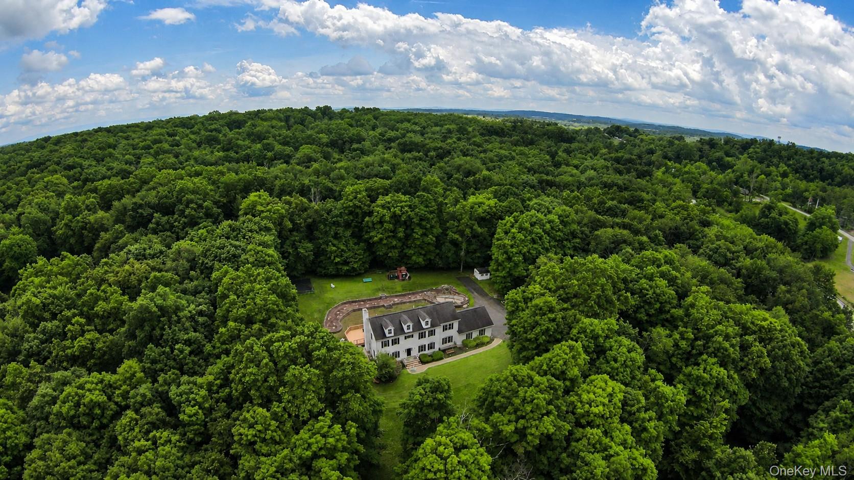 411 Mt Joy Road Middletown, NY 10941 - Photo 10 of 49 Expansive wooded acreage featuring a large two story Colonial with multiple dormer windows