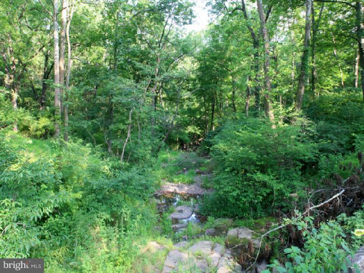 160 Geigel Hill Road Erwinna, PA 18920 - Photo 21 of 25