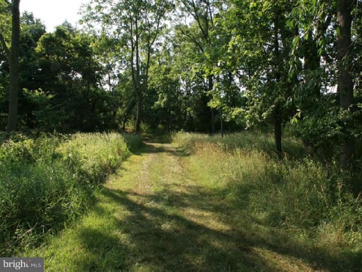 160 Geigel Hill Road Erwinna, PA 18920 - Photo 22 of 25