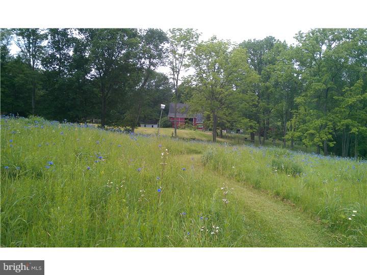 160 Geigel Hill Road Erwinna, PA 18920 - Photo 24 of 25