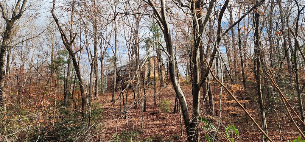 102 Oaklawn Road Mount Airy, NC 27030 - Photo 40 of 41 Gallery Image 40