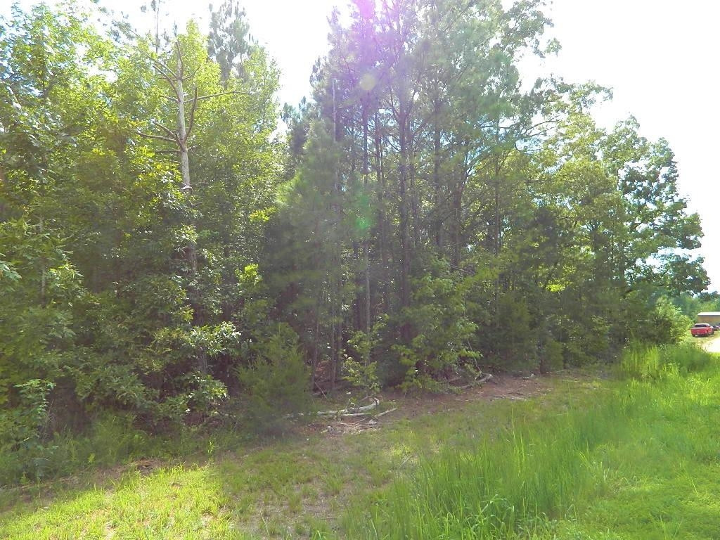 5-acres Stegall Road Huron, TN 38345 - Photo 1 of 3 a view of a yard with large trees