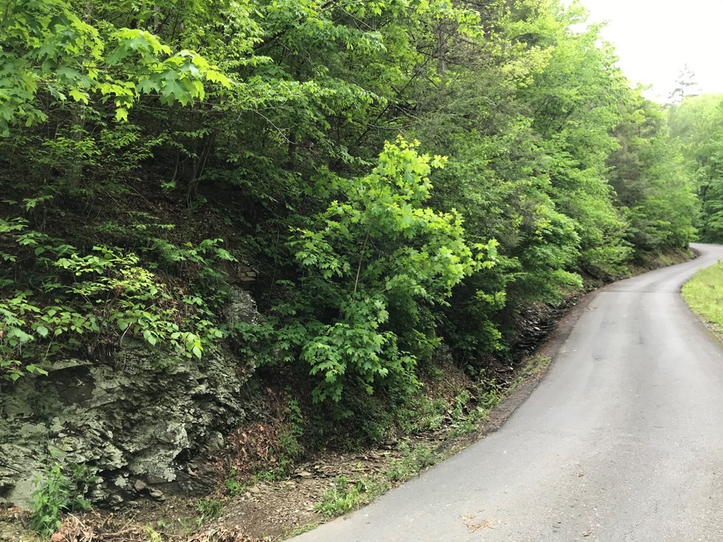 3 Klaver Road Sevierville, TN 37862 - Photo 2 of 3