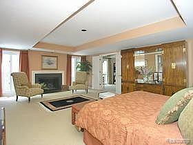 776 Hidden Ravines Trail Birmingham, MI 48009 - Photo 11 of 19 Master Suite