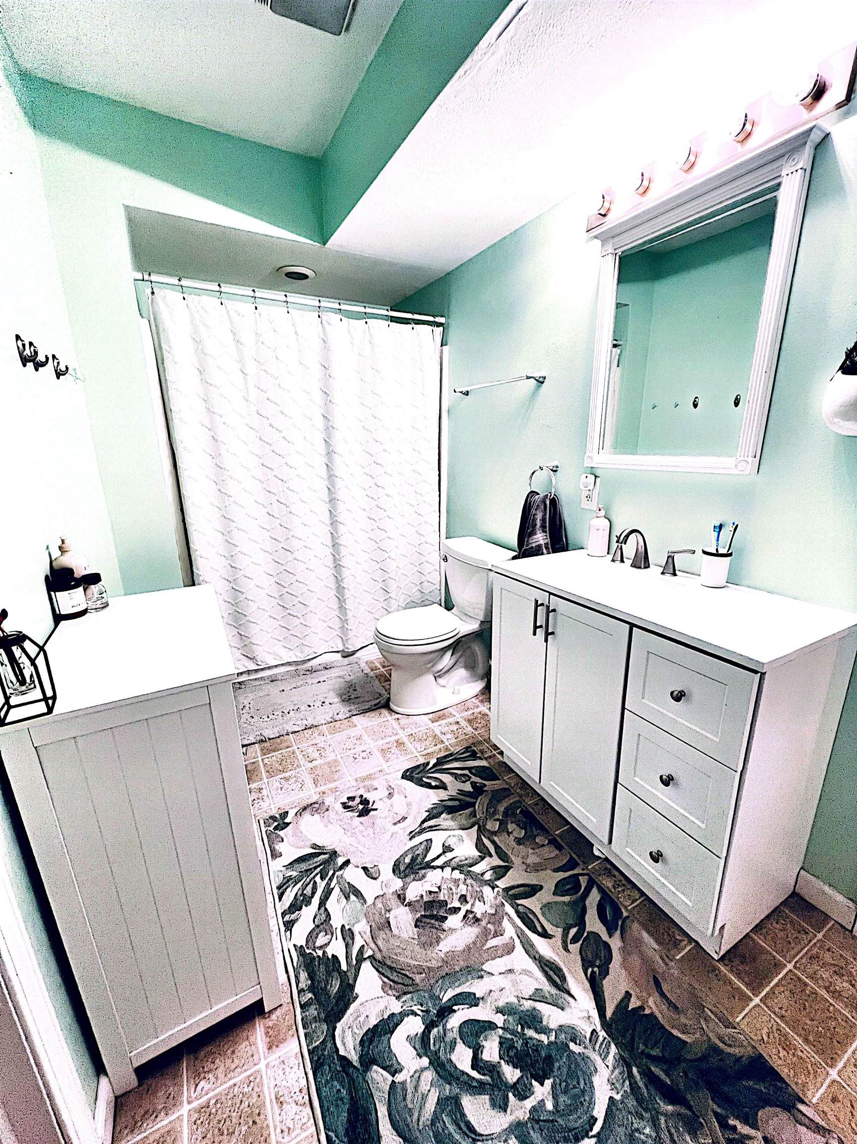 521 North Walnut Street Byron, IL 61010 - Photo 3 of 9 a bathroom with a double vanity sink mirror and toilet