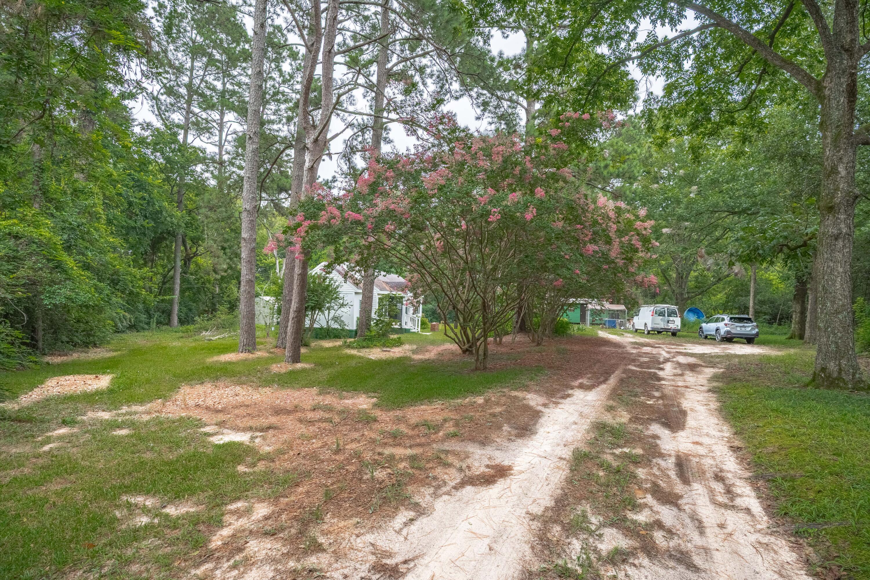 242 Hammond Road Beech Island, SC 29842 - Photo 49 of 68