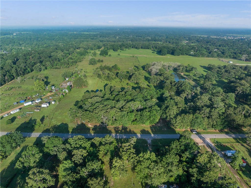 26795 Rice Road Hockley, TX 77447 - Photo 15 of 19 a view of a lush green forest with lots of trees