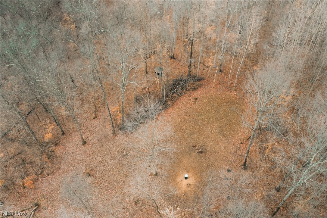 1015 Butterbean Ridge Road Philo, OH 43771 - Photo 6 of 26 View of birds eye view of property