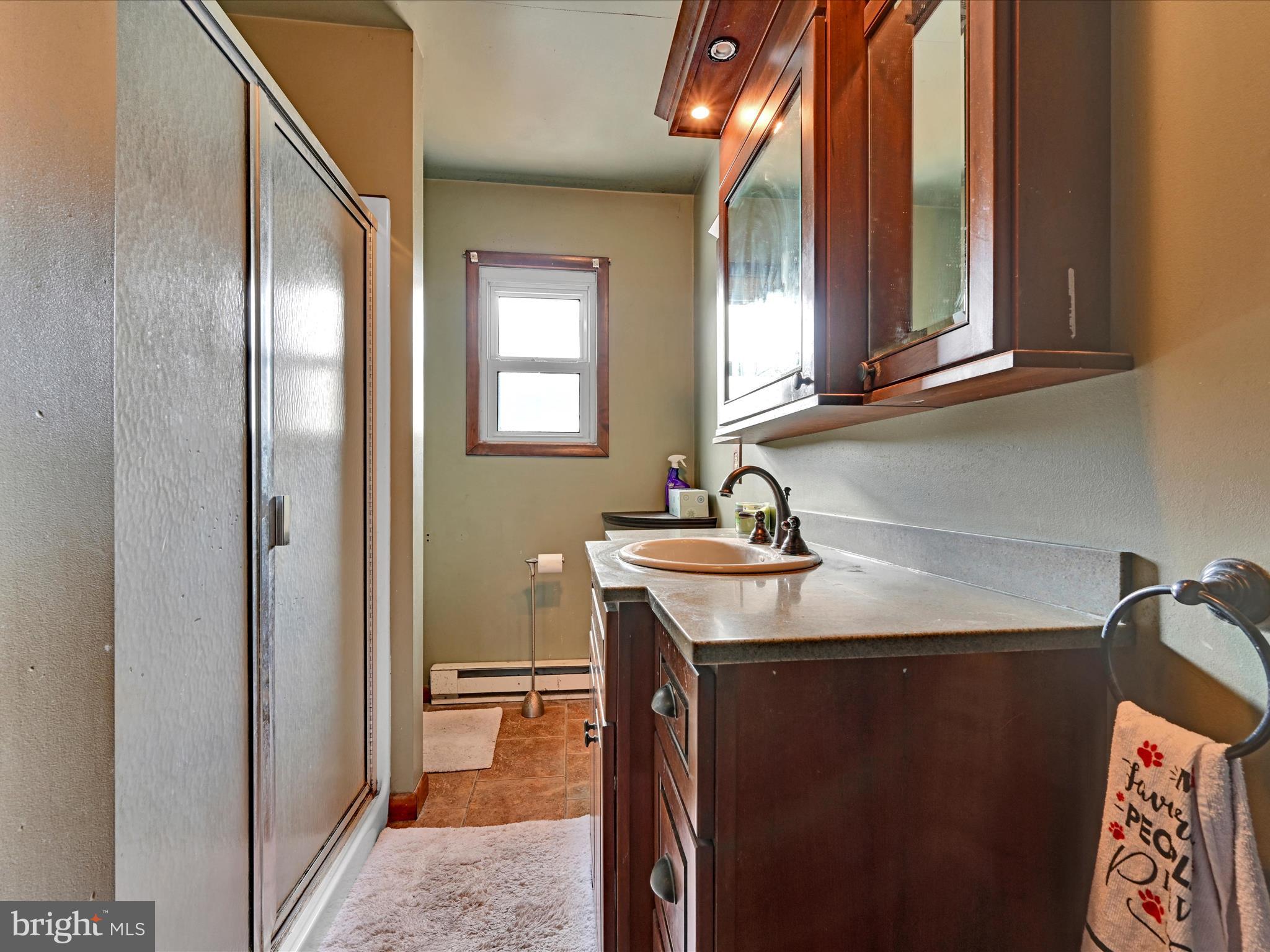 6296 Meadowview Road Germansville, PA 18053 - Photo 18 of 32 Bathroom