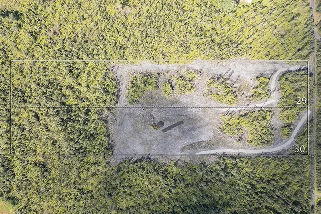 a view of a pathway of a yard