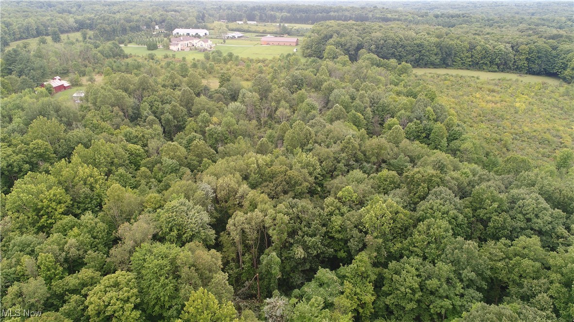 13696 Sperry Road Novelty, OH 44072 - Photo 35 of 40 Birds eye view of property