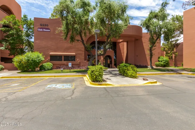 a view of a park with palm trees