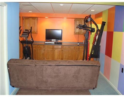 301 Pinkerton Road Wexford, PA 15090 - Photo 15 of 18 Other. Finished lower level features built in cabinets-perfect location for a flat screen tv.
