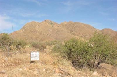 1533 Pirana Court Rio Rico, AZ 85648 - Photo 4 of 4 a view of a dry yard with mountains in the background