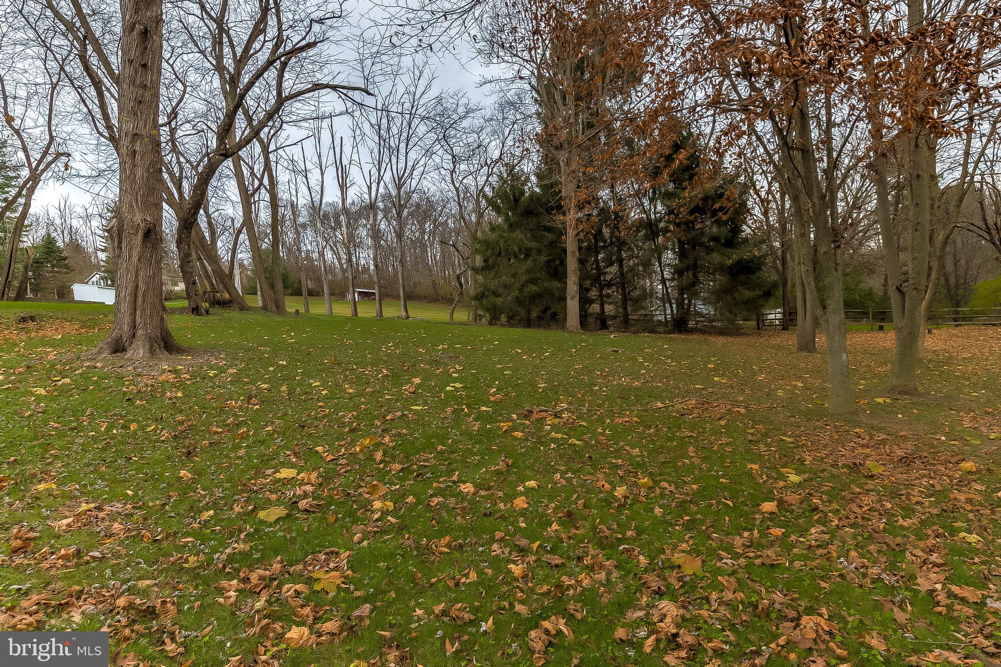 2812 Cape Horn Road Westminster, MD 21157 - Photo 38 of 40 a view of a tree in a yard