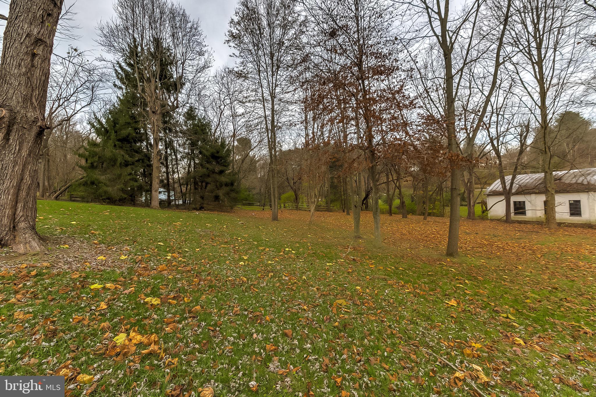 2812 Cape Horn Road Westminster, MD 21157 - Photo 39 of 40 a view of a yard with a tree