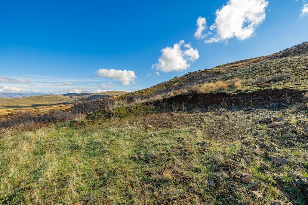 L45 Goodrich Road Council, ID 83612 - Photo 11 of 40