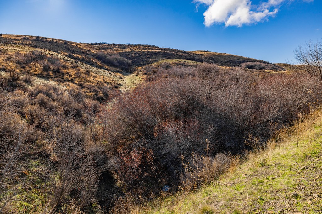L45 Goodrich Road Council, ID 83612 - Photo 19 of 40