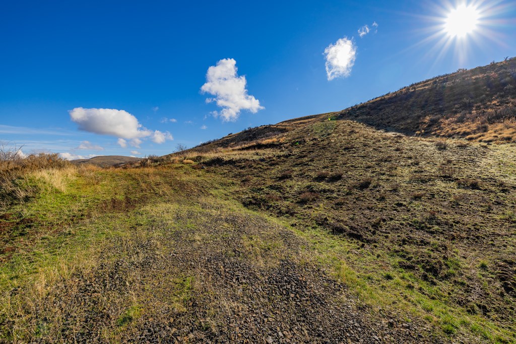 L45 Goodrich Road Council, ID 83612 - Photo 2 of 40