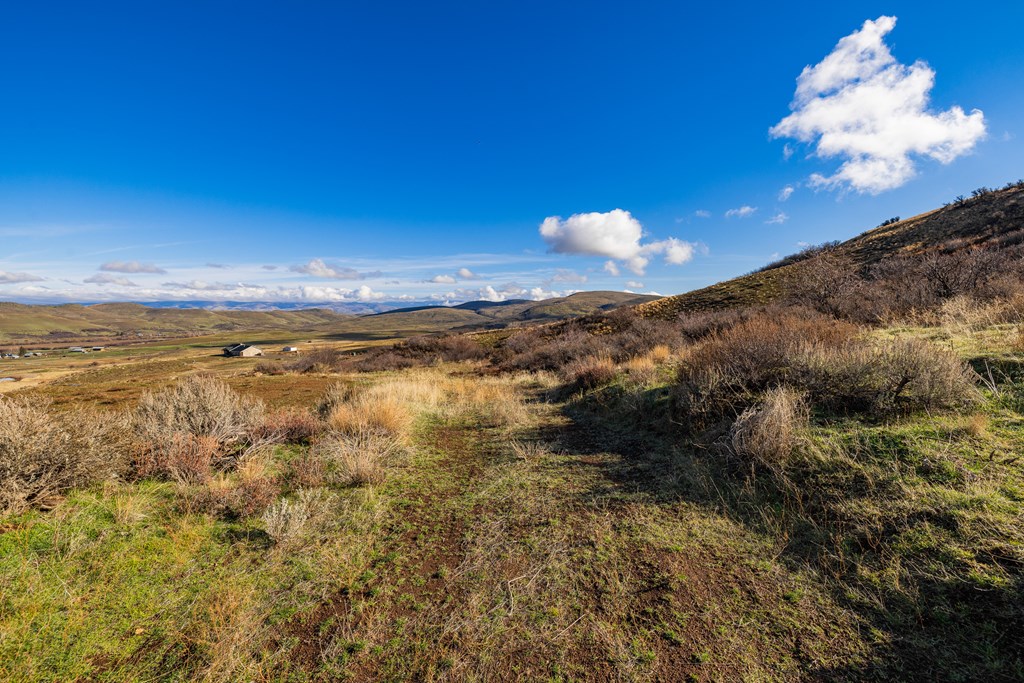 L45 Goodrich Road Council, ID 83612 - Photo 3 of 40