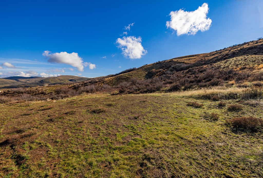 L45 Goodrich Road Council, ID 83612 - Photo 6 of 40