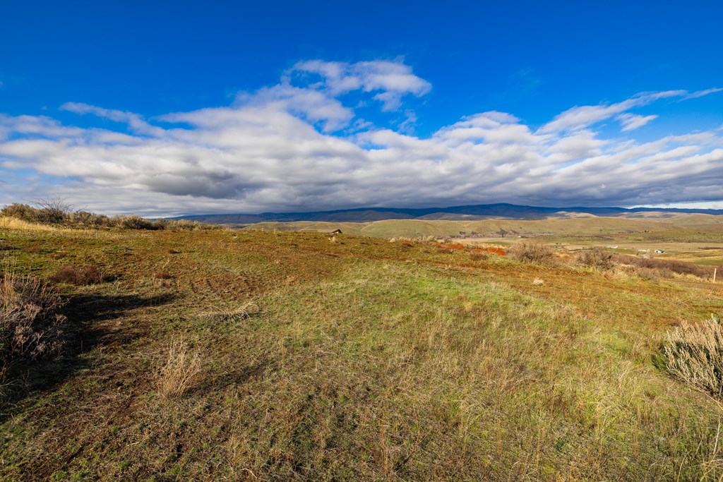 L45 Goodrich Road Council, ID 83612 - Photo 8 of 40