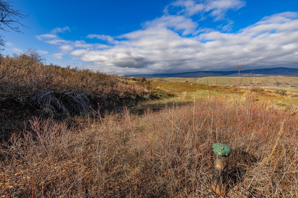L45 Goodrich Road Council, ID 83612 - Photo 9 of 40