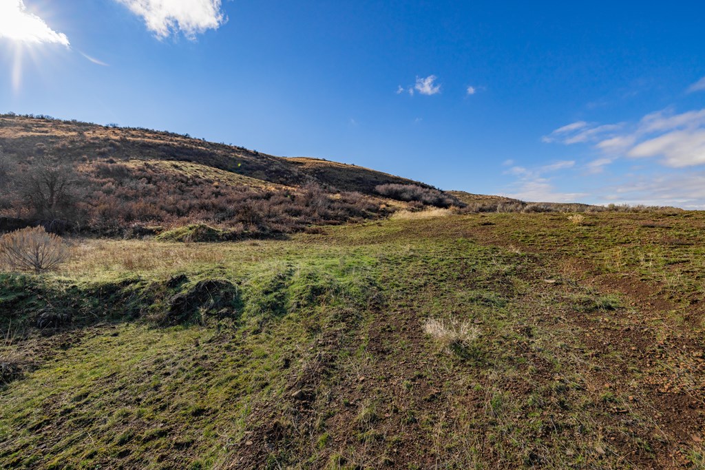L45 Goodrich Road Council, ID 83612 - Photo 10 of 40