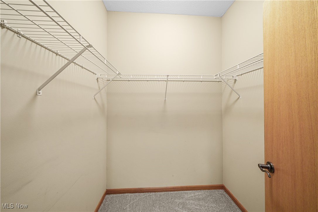 4840 Wayne Road Mantua, OH 44255 - Photo 24 of 42 Primary Suite Dual walk-in closets