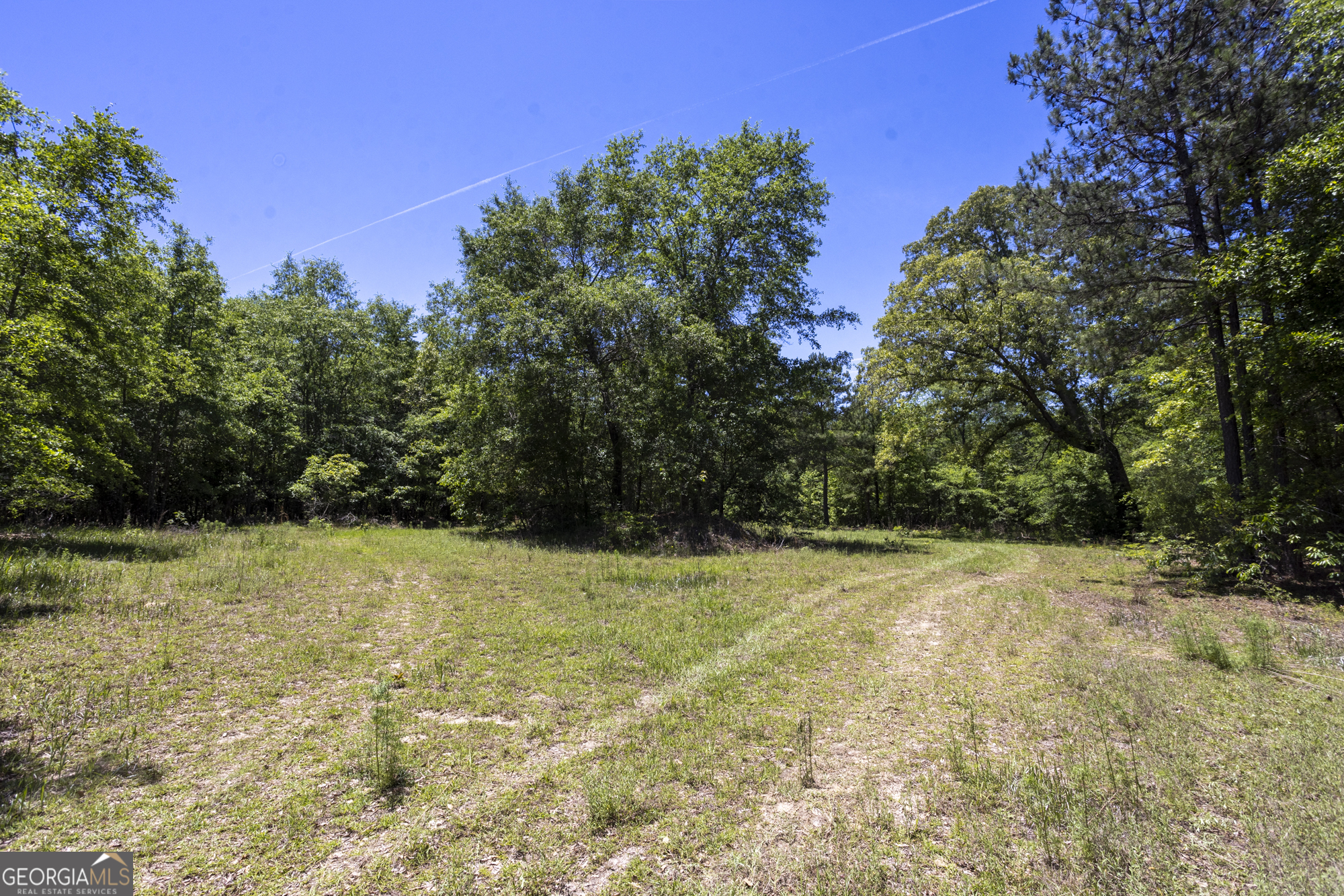 0 Old Griswoldville Road Macon, GA 31217 - Photo 25 of 62