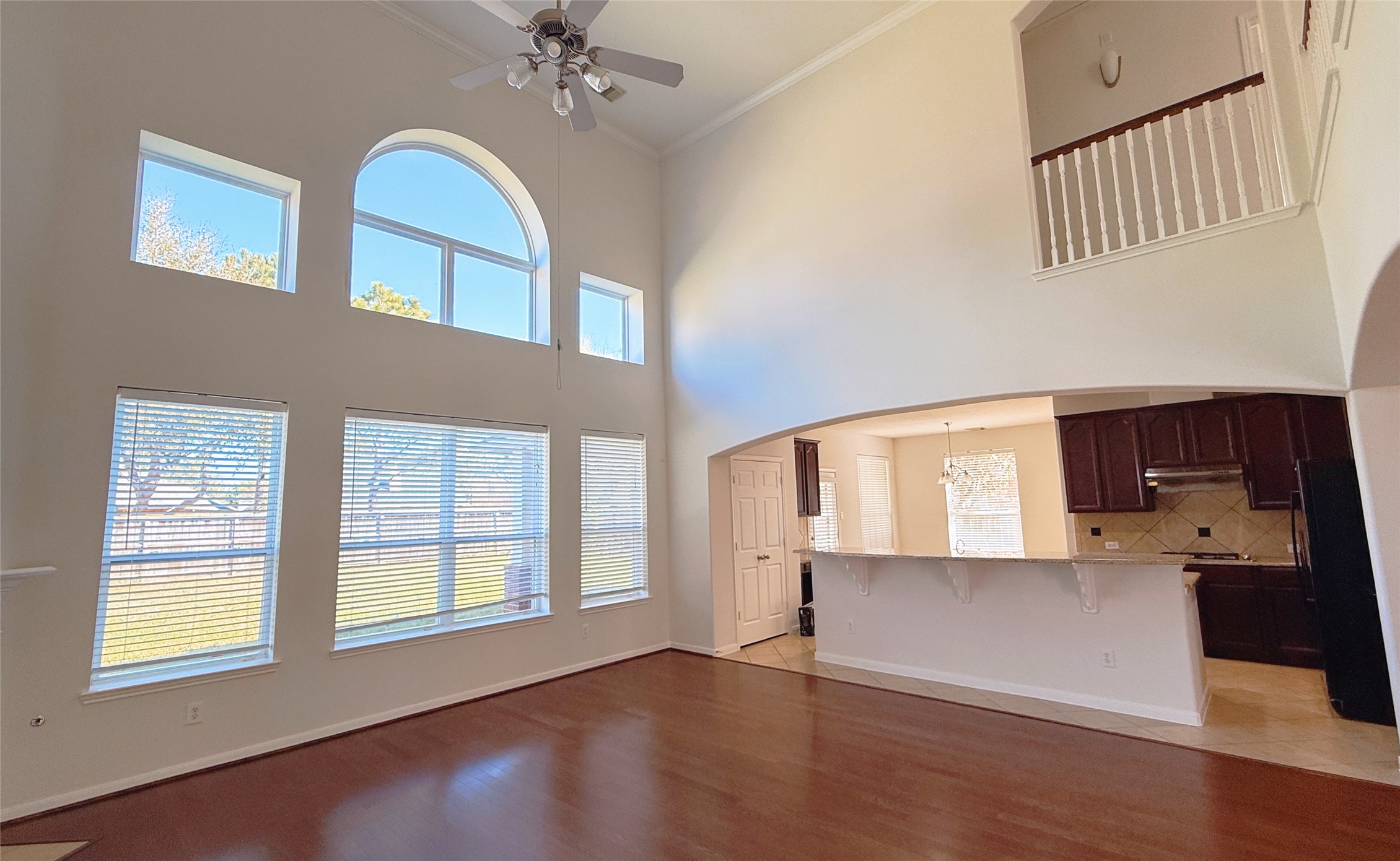 8610 Rising Oak Lane Katy, TX 77494 - Photo 23 of 46