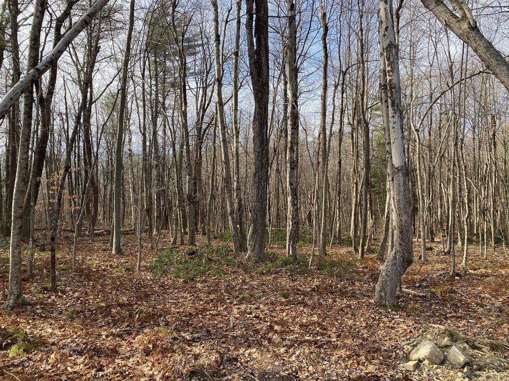 Lot 10 Glenwood Road Rutland, MA 01543 - Photo 29 of 39