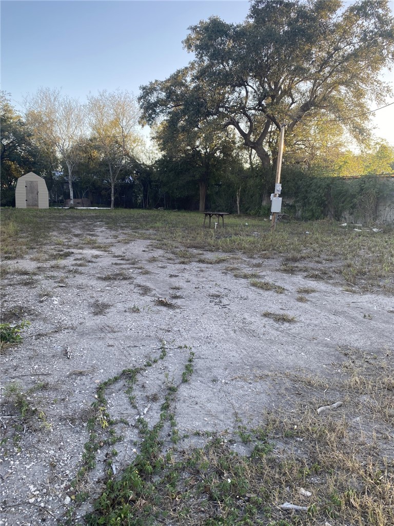 724 West Front Street Alice, TX 78332 - Photo 6 of 7 a view of backyard with green space