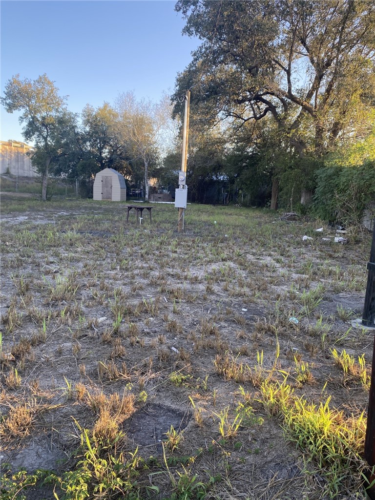 724 West Front Street Alice, TX 78332 - Photo 7 of 7 a view of a outdoor space