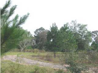 184 Broxson Road Ponce de Leon, FL 32455 - Photo 1 of 4 Primary Photo