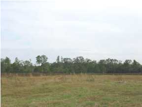 184 Broxson Road Ponce de Leon, FL 32455 - Photo 3 of 4 Additional Photo