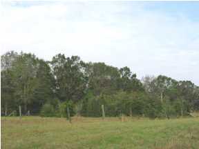 184 Broxson Road Ponce de Leon, FL 32455 - Photo 4 of 4 Additional Photo