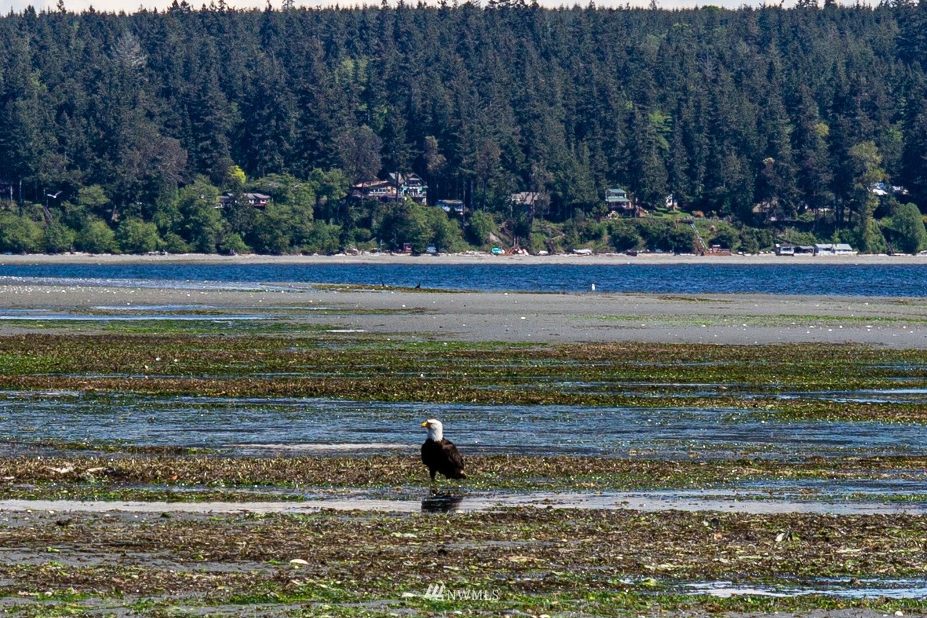 7074 Cape George Road Port Townsend, WA 98368 - Photo 39 of 40 Gallery Image 39