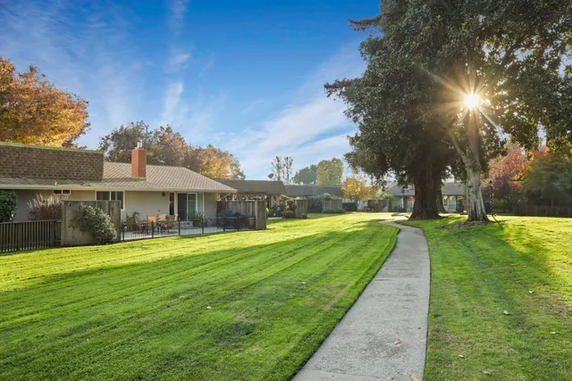 a view of a park with large trees