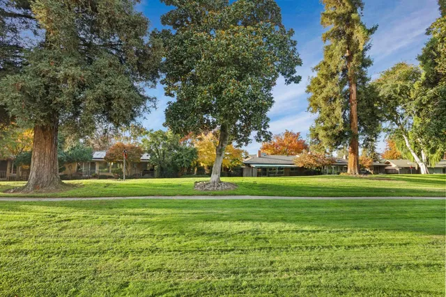 a view of a swimming pool with a lounge chairs