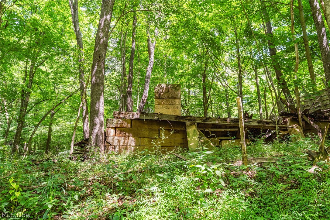 Norris Road Tippecanoe, OH 44699 - Photo 13 of 32