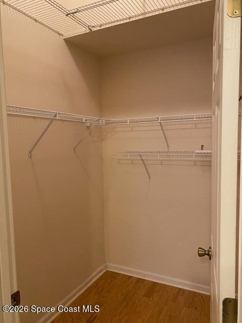 1070 Luminary Circle, Unit 104 Melbourne, FL 32901 - Photo 11 of 14 Primary Walk-In Closet