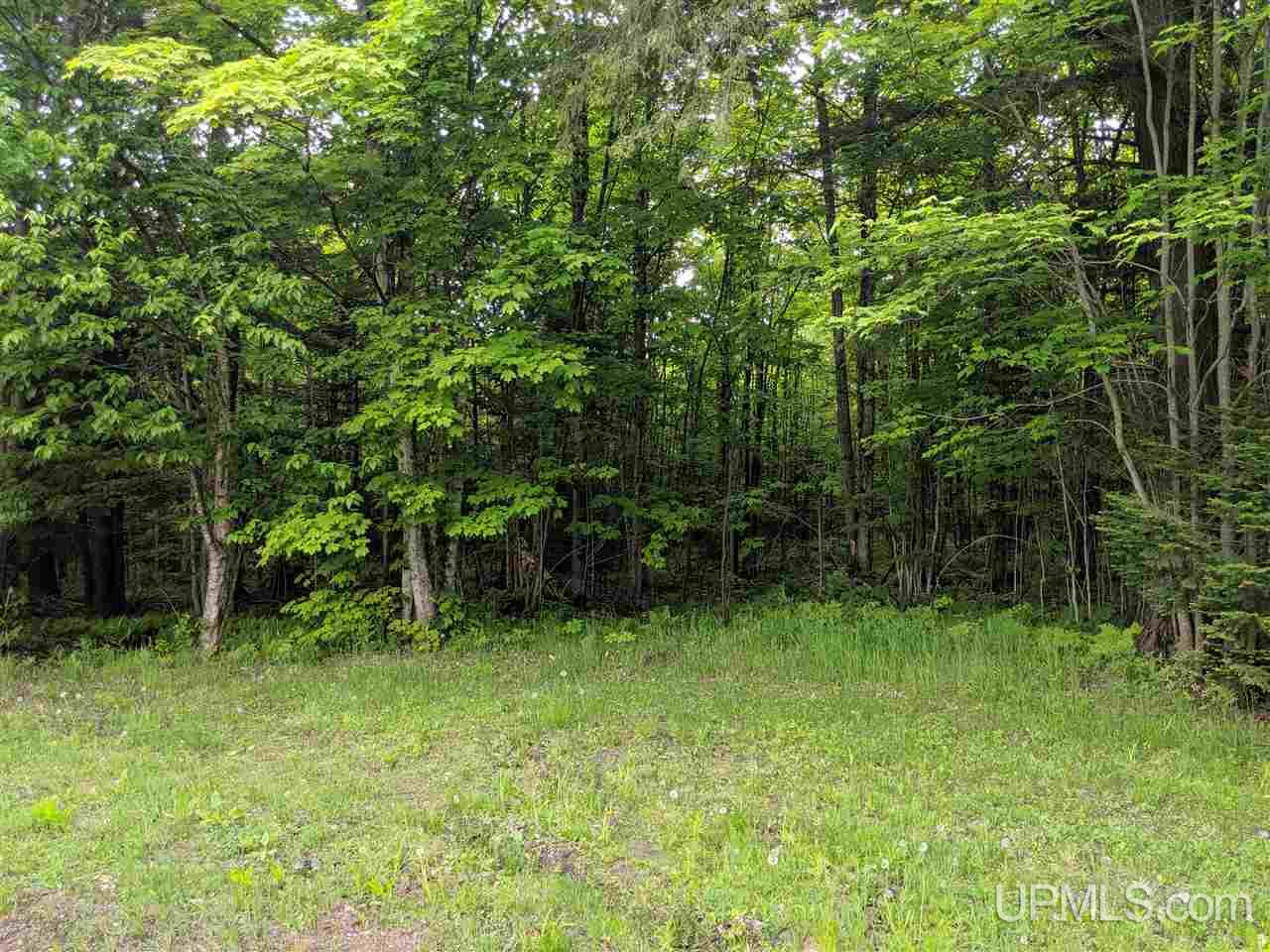 Tbd Town Line Road Skandia, MI 49885 - Photo 13 of 14