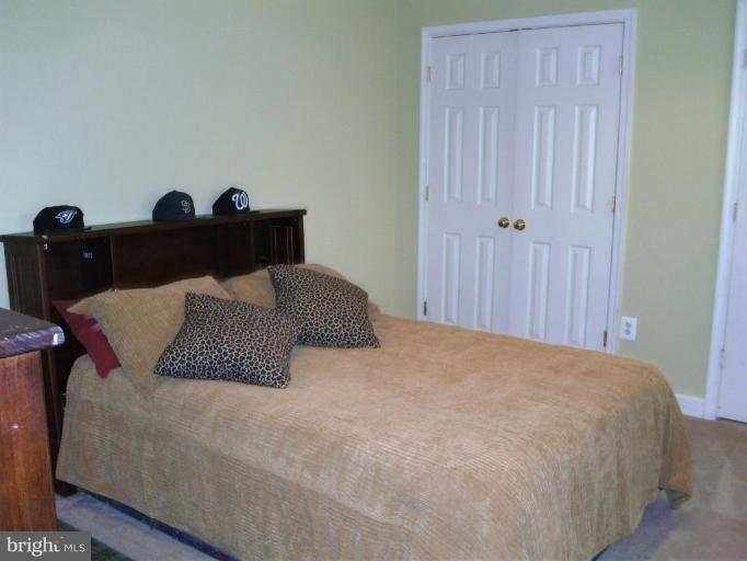 13920 Bromfield Road Germantown, MD 20874 - Photo 17 of 28 Lower Level Bedroom/other room