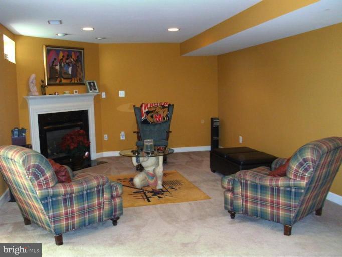 13920 Bromfield Road Germantown, MD 20874 - Photo 20 of 28 Lower Level family area