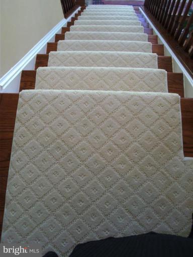 13920 Bromfield Road Germantown, MD 20874 - Photo 26 of 28 Upgraded carpeting