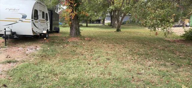 a view of a yard with tree s