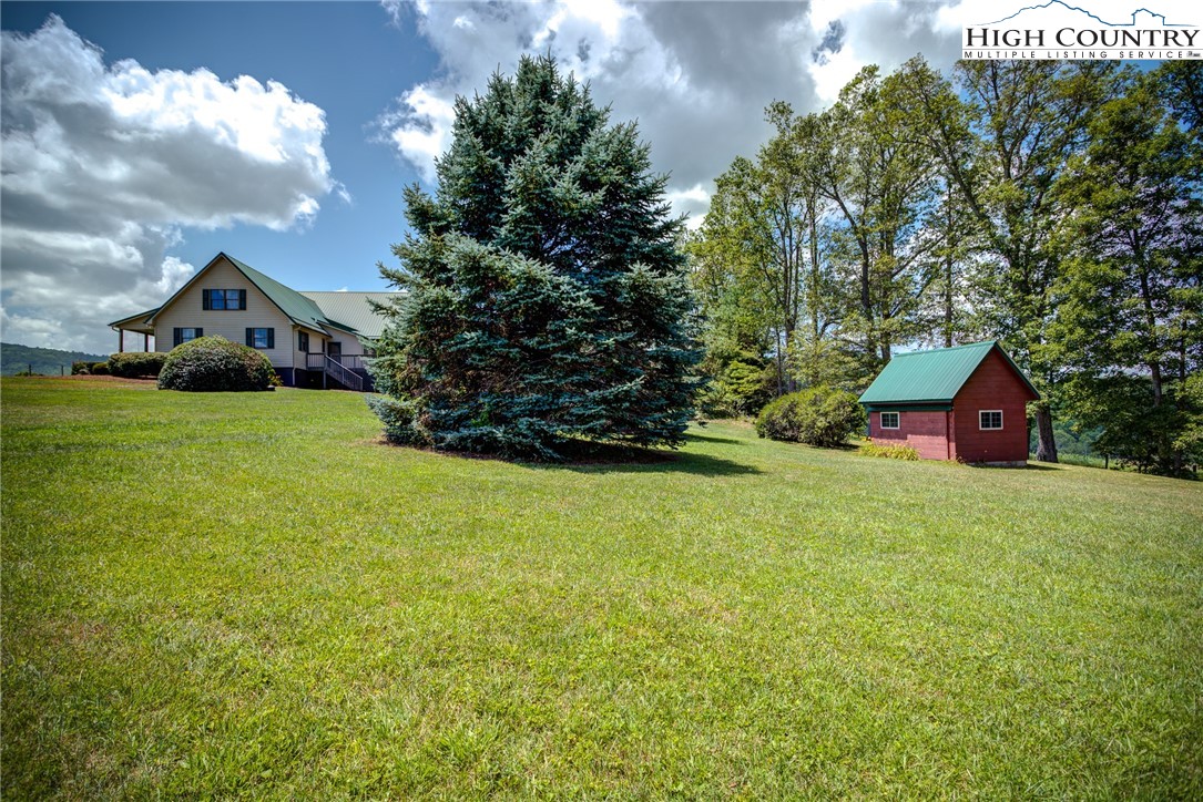 356 Irwin Farm Lane Sparta, NC 28675 - Photo 11 of 50 a view of a big yard with plants and large trees